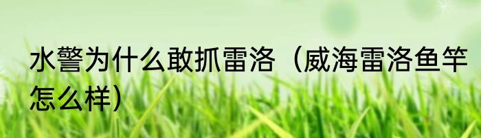 水警为什么敢抓雷洛（威海雷洛鱼竿怎么样）