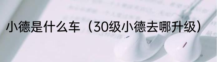 小德是什么车（30级小德去哪升级）
