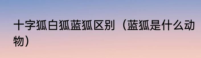 十字狐白狐蓝狐区别（蓝狐是什么动物）