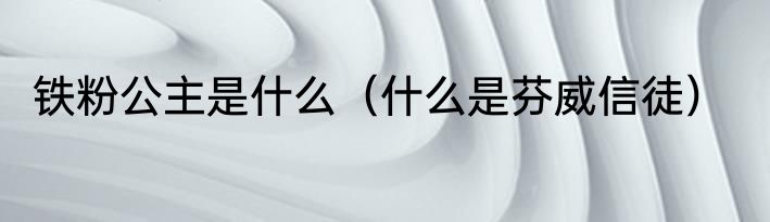 铁粉公主是什么（什么是芬威信徒）