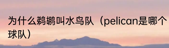 为什么鹈鹕叫水鸟队（pelican是哪个球队）