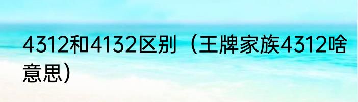 4312和4132区别（王牌家族4312啥意思）