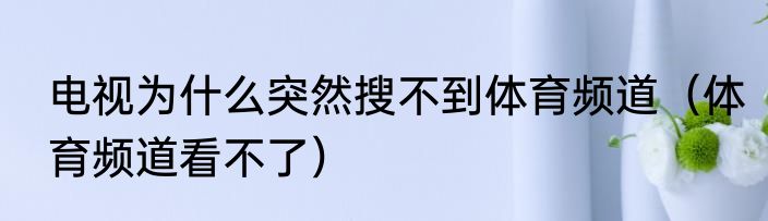 电视为什么突然搜不到体育频道（体育频道看不了）
