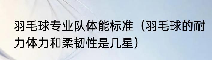 羽毛球专业队体能标准（羽毛球的耐力体力和柔韧性是几星）