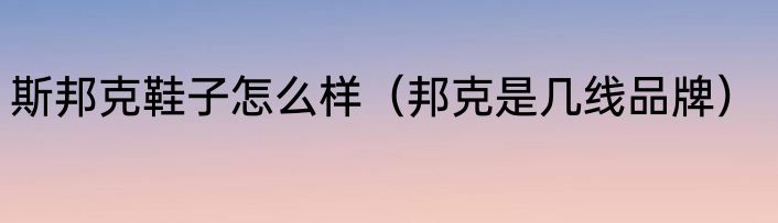 斯邦克鞋子怎么样(邦克是几线品牌)