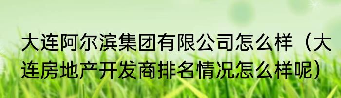 大连阿尔滨集团有限公司怎么样（大连房地产开发商排名情况怎么样呢）