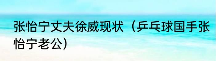 张怡宁丈夫徐威现状（乒乓球国手张怡宁老公）