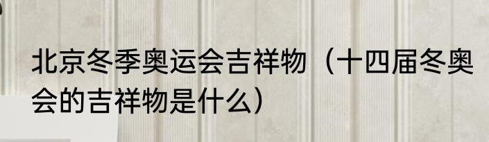 北京冬季奥运会吉祥物（十四届冬奥会的吉祥物是什么）