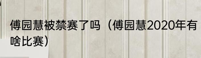 傅园慧被禁赛了吗（傅园慧2020年有啥比赛）