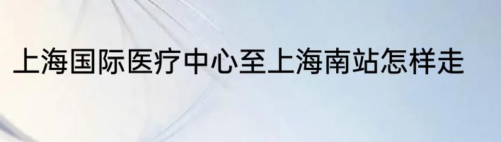 上海国际医疗中心至上海南站怎样走