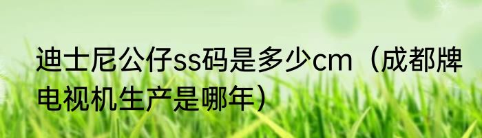 迪士尼公仔ss码是多少cm（成都牌电视机生产是哪年）
