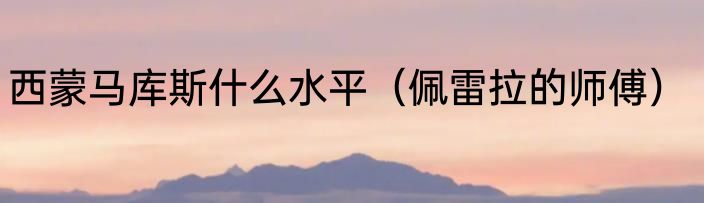 西蒙马库斯什么水平（佩雷拉的师傅）