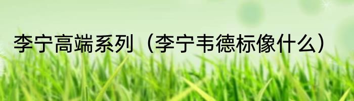 李宁高端系列（李宁韦德标像什么）