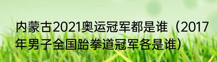 内蒙古2021奥运冠军都是谁（2017年男子全国跆拳道冠军各是谁）