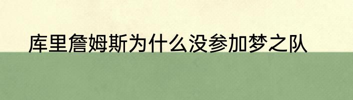 库里詹姆斯为什么没参加梦之队