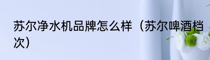 苏尔净水机品牌怎么样（苏尔啤酒档次）