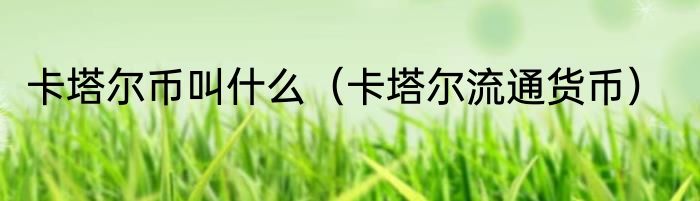 卡塔尔币叫什么（卡塔尔流通货币）