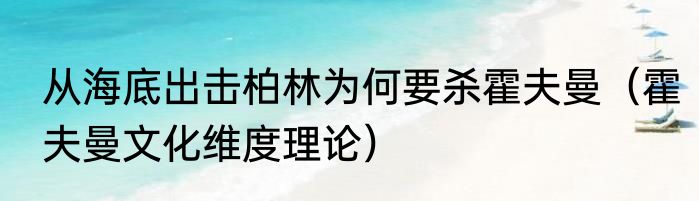 从海底出击柏林为何要杀霍夫曼（霍夫曼文化维度理论）
