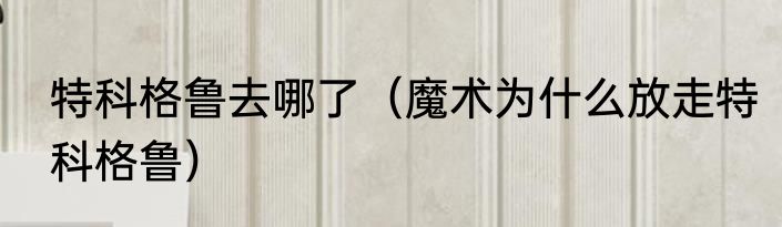 特科格鲁去哪了（魔术为什么放走特科格鲁）