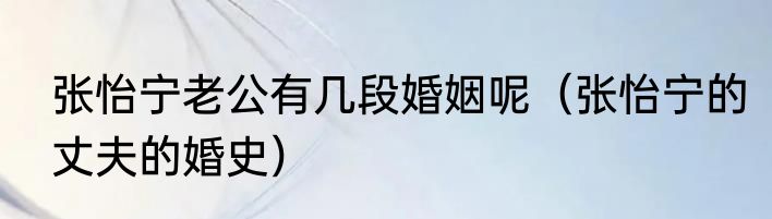 张怡宁老公有几段婚姻呢（张怡宁的丈夫的婚史）