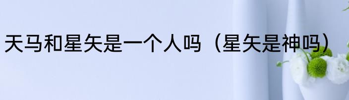 天马和星矢是一个人吗（星矢是神吗）