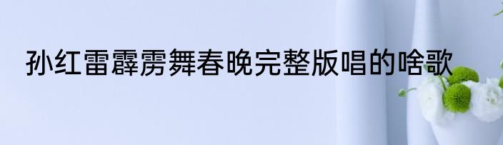 孙红雷霹雳舞春晚完整版唱的啥歌