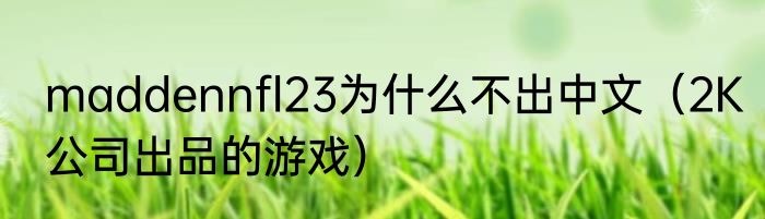 maddennfl23为什么不出中文（2K公司出品的游戏）