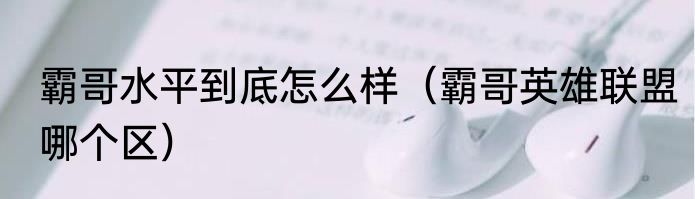 霸哥水平到底怎么样（霸哥英雄联盟哪个区）