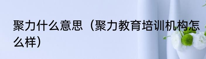 聚力什么意思（聚力教育培训机构怎么样）