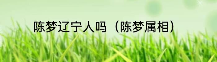 陈梦辽宁人吗（陈梦属相）