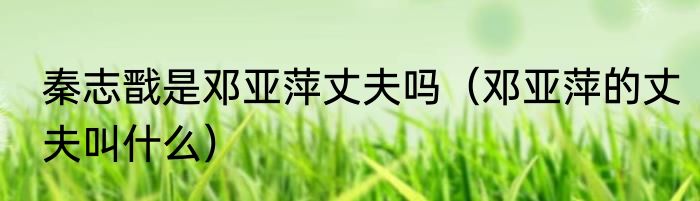 秦志戬是邓亚萍丈夫吗（邓亚萍的丈夫叫什么）