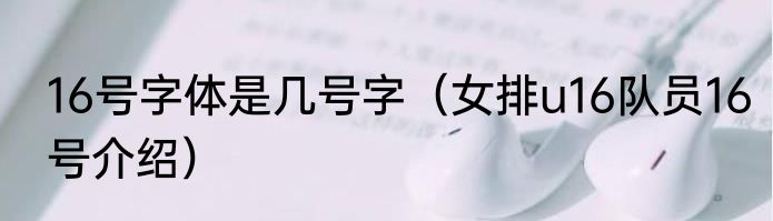 16号字体是几号字（女排u16队员16号介绍）
