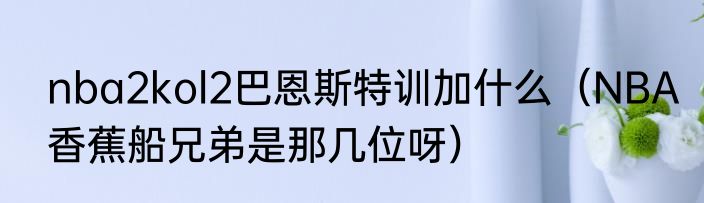 nba2kol2巴恩斯特训加什么（NBA香蕉船兄弟是那几位呀）