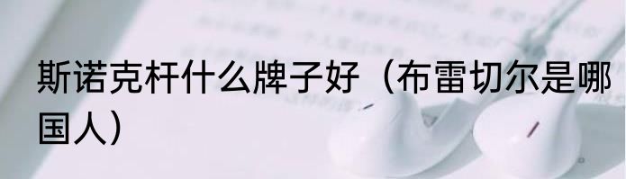 斯诺克杆什么牌子好（布雷切尔是哪国人）