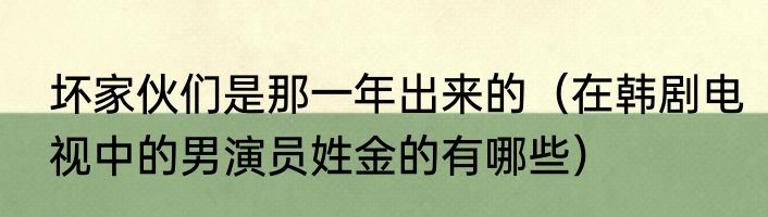 坏家伙们是那一年出来的（在韩剧电视中的男演员姓金的有哪些）