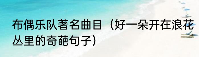 布偶乐队著名曲目（好一朵开在浪花丛里的奇葩句子）