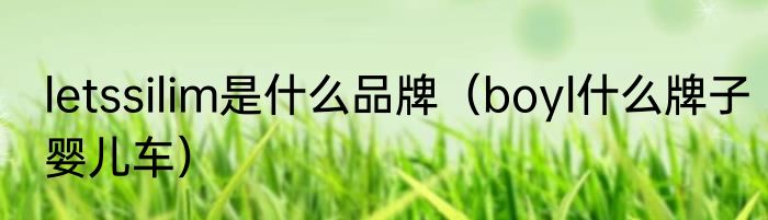letssilim是什么品牌（boyl什么牌子婴儿车）