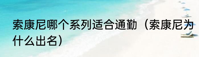 索康尼哪个系列适合通勤（索康尼为什么出名）
