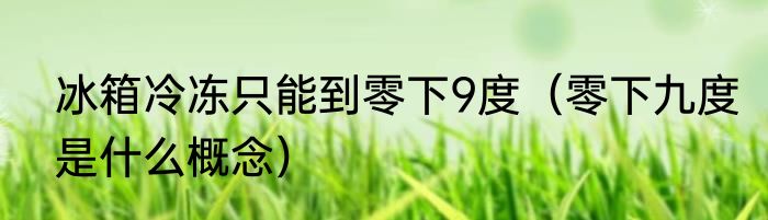 冰箱冷冻只能到零下9度（零下九度是什么概念）