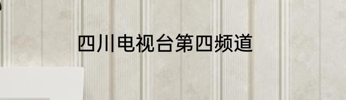 四川电视台第四频道