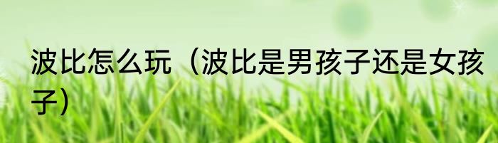 波比怎么玩（波比是男孩子还是女孩子）