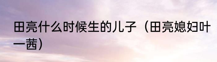 田亮什么时候生的儿子（田亮媳妇叶一茜）