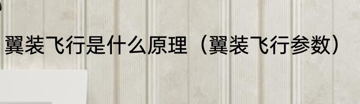翼装飞行是什么原理（翼装飞行参数）