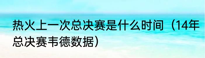热火上一次总决赛是什么时间（14年总决赛韦德数据）