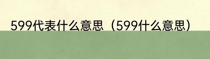 599代表什么意思（599什么意思）