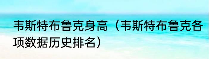 韦斯特布鲁克身高（韦斯特布鲁克各项数据历史排名）
