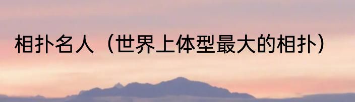 相扑名人（世界上体型最大的相扑）