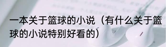 一本关于篮球的小说（有什么关于篮球的小说特别好看的）
