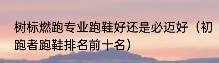 树标燃跑专业跑鞋好还是必迈好（初跑者跑鞋排名前十名）