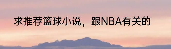 求推荐篮球小说，跟NBA有关的